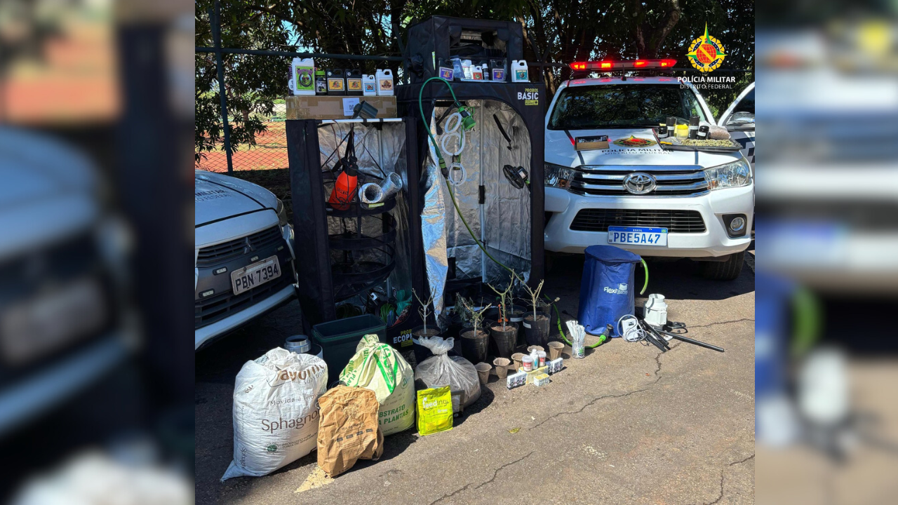 PMDF descobre laboratório de cultivo de maconha durante ocorrência de violência doméstica